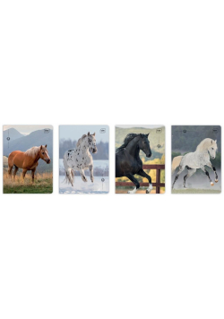 Zeszyt A5/32K 3kol linia 70g UV Wild Horses(10szt)