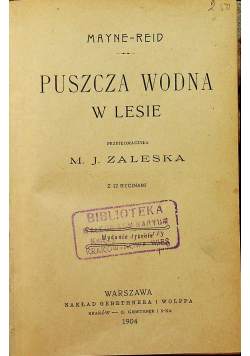 Puszcza wodna w lesie 1904 r