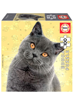 Puzzle 100 Koty - Brytyjski krótkowłosy G3