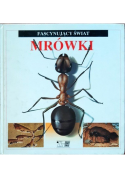 Mrówki