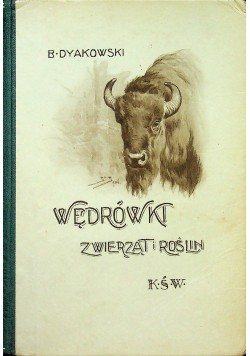 Wędrówki zwierząt i roślin 1925r.
