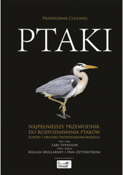 Ptaki