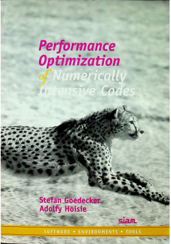 Performance Optimization of Numerically Intensive Codes