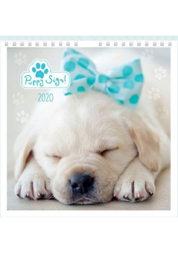 Kalendarz 2020 planszowy 32x32 Puppy Sign