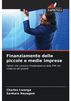Finanziamento delle piccole e medie imprese