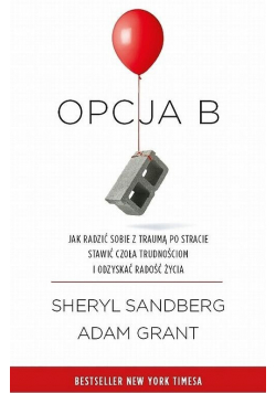 Opcja B