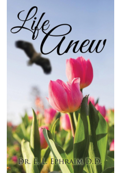 Life Anew