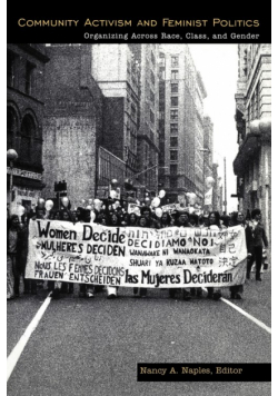 Community Activism and Feminist Politics