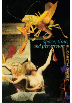 Space, Time and Perversion