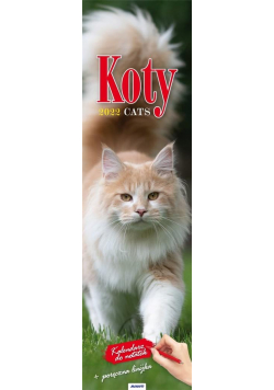 Kalendarz 2022 KP-2 Koty AVANTI