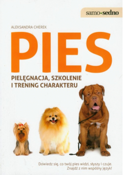 Pies: pielęgnacja, szkolenie i trening charakteru