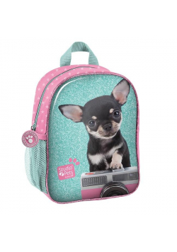 Plecak przedszkolny Studio Pets PTE-303 PASO