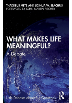 What Makes Life Meaningful?