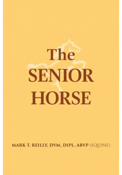 The Senior Horse