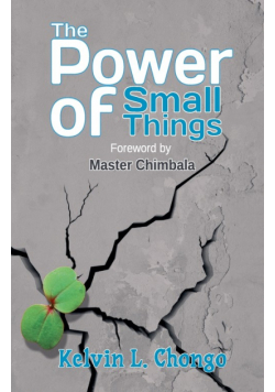 The Power of Small Things