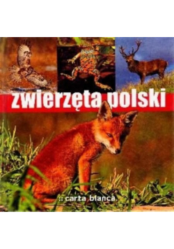 Zwierzęta polski