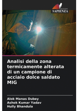 Analisi della zona termicamente alterata di un campione di acciaio dolce saldato MIG