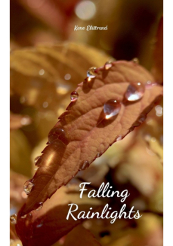 Falling Rainlights
