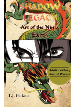 Art of the Ninja