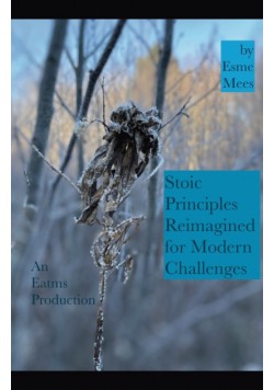 Stoic Principles Reimagined for Modern Challenges