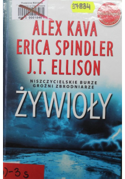 Żywioły