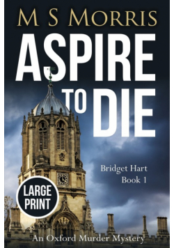 Aspire to Die (Large Print)