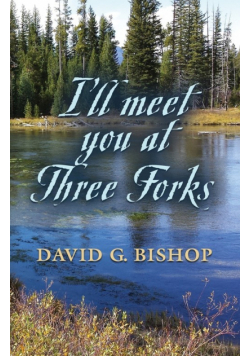 I'll Meet You At Three Forks