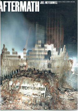 Aftermath: World Trade Centre Archive