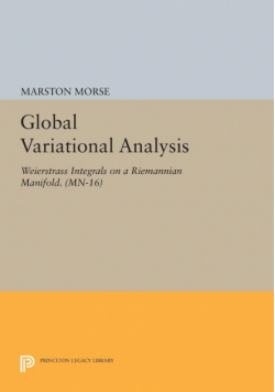 Global Variational Analysis