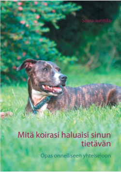Mitä koirasi haluaisi sinun tietävän