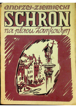 Schron na placu Zamkowym 1947 r.