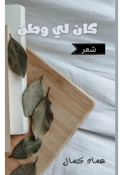كان لي وطنٌ