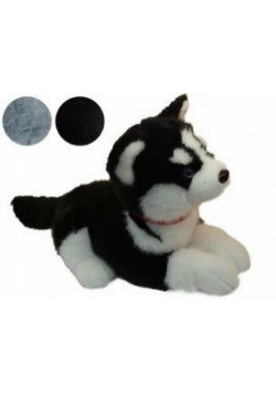 Husky pluszowy leżący 35cm mix