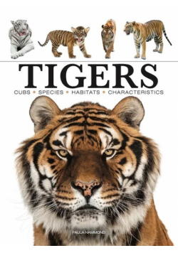 Tigers