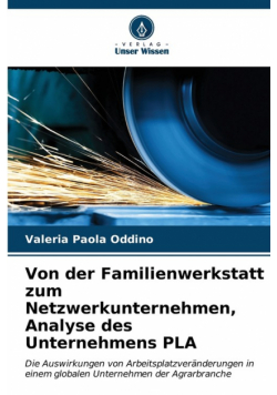 Von der Familienwerkstatt zum Netzwerkunternehmen, Analyse des Unternehmens PLA