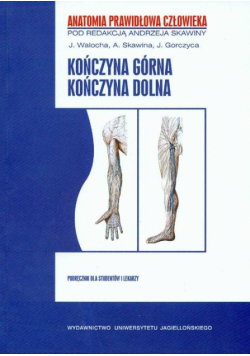 APC Kończyna górna Kończyna dolna