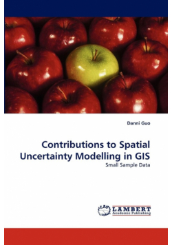 Contributions to Spatial Uncertainty Modelling in GIS