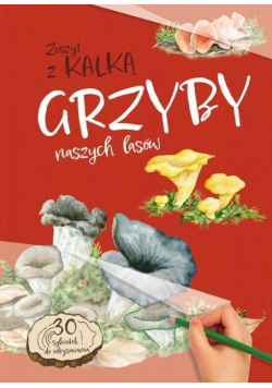 Grzyby Naszych Lasów. zeszyt z kalką