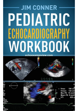 Pediatric Echocardiography Workbook