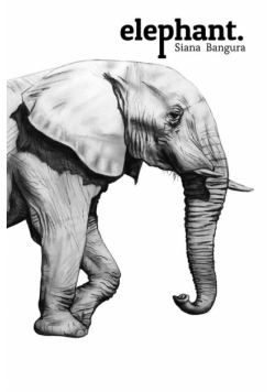Elephant.