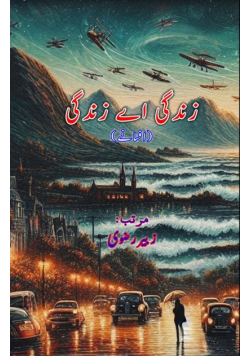 Zindagi aye Zindagi
