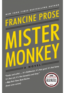 Mister Monkey