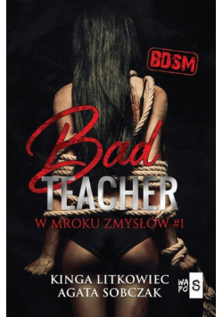 Bad Teacher W mroku zmysłów