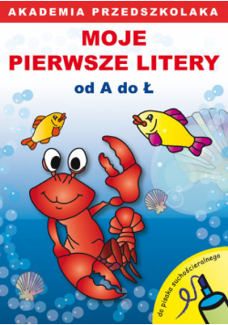 Stelter Paweł - Akademia przedszkolaka : Moje pierwsze litery od A do Ł