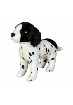 Pies angielski pointer 28cm