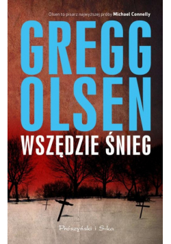 Wszędzie śnieg