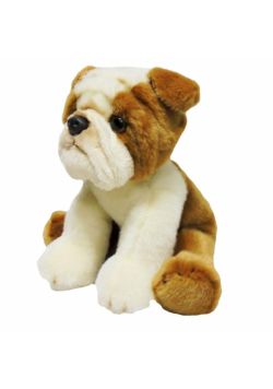 Pies bull dog 30cm
