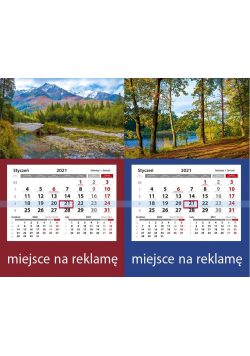 Kalendarz 2021 Jednodzielny z główką LUX mix PP