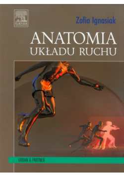 Anatomia układu ruchu