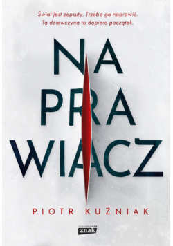 Naprawiacz